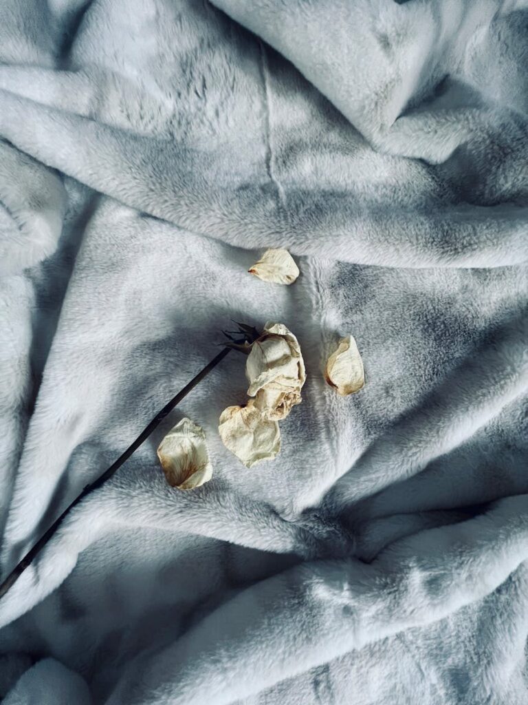 Elegant arrangement of dry flower petals on a soft grey blanket creating a minimalist aesthetic.