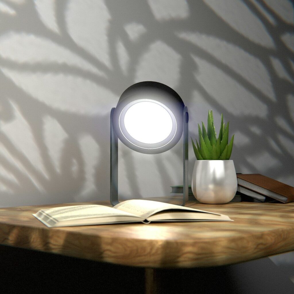 Desk with open book, plant, and lamp.