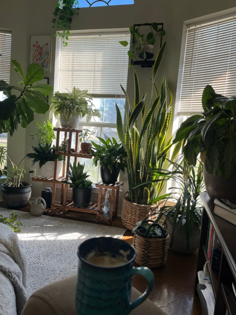 cozy office with natural lighting and plants