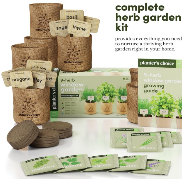 herb garden starter kit