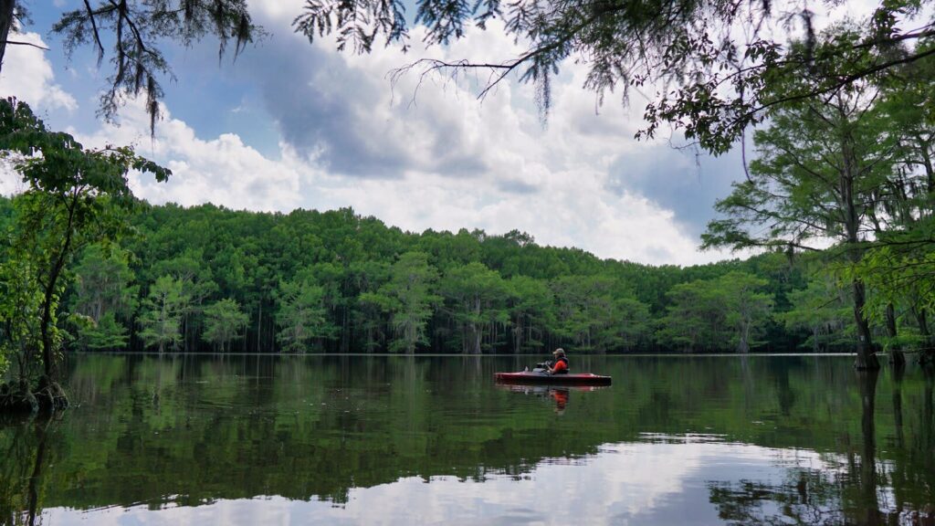 A tranquil scene of a kayaker enjoying the serene beauty of Caddo Lake in Texas; Top State Parks