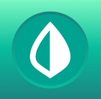 mint app