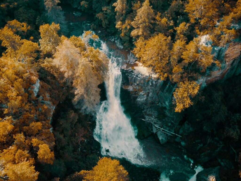 waterfalls in the middle of forest during daytime