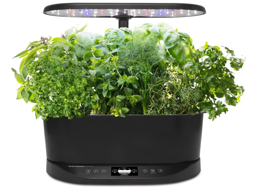 aergarden