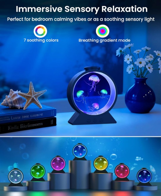 jellyfish aquarium