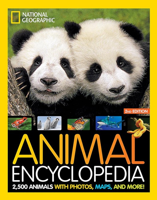 Books That Help Kids Learn; National Geographic