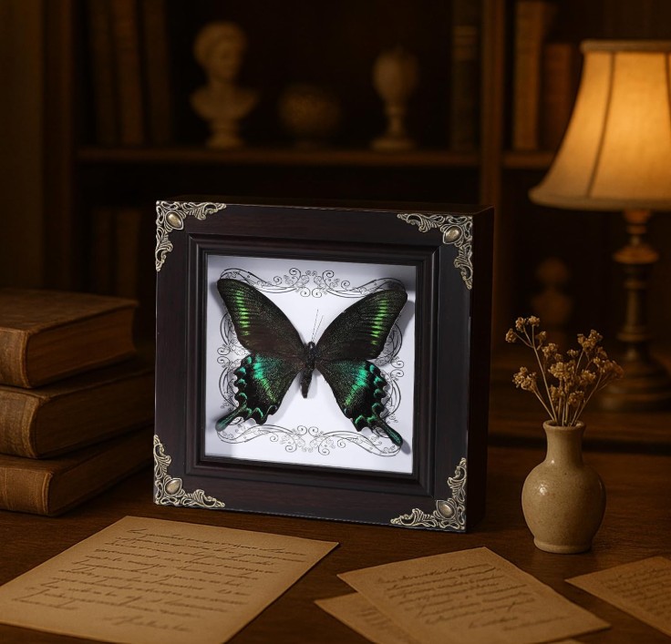 dark academia butterfly wall art