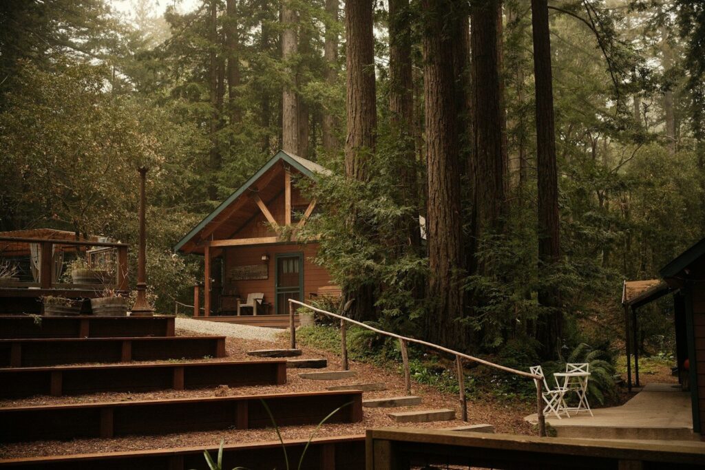 A cabin is nestled in a lush, green forest.