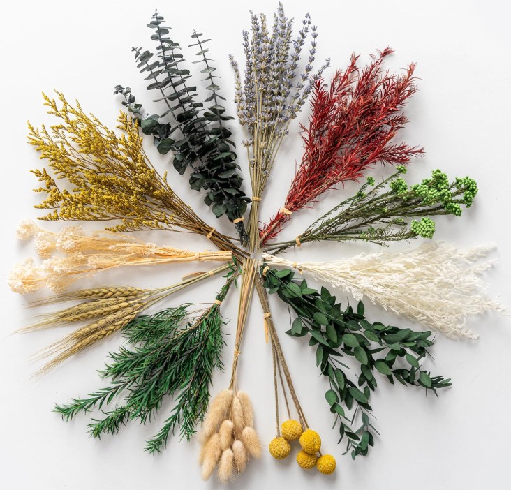 organic modern Dried Flowers