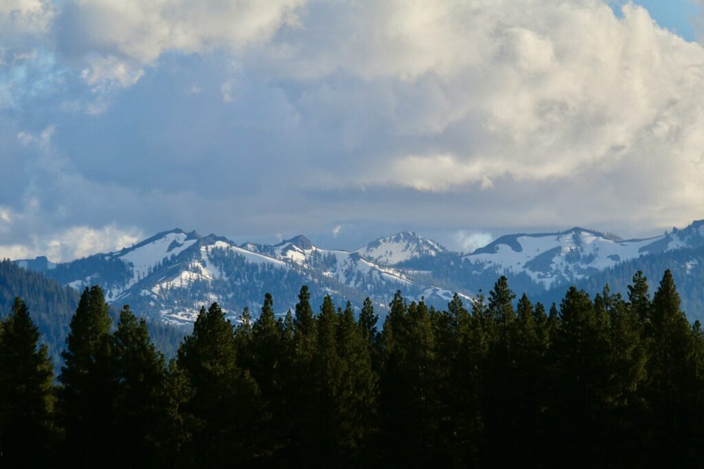 a view of a mountain range with trees in the foreground